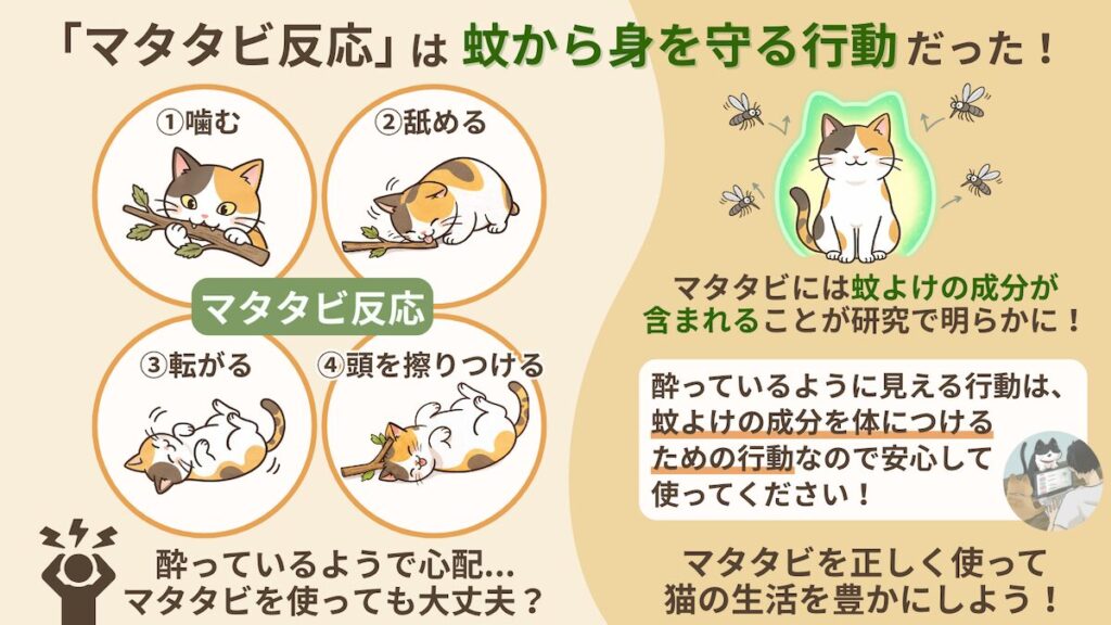 しゃちほこさんの作成した図解